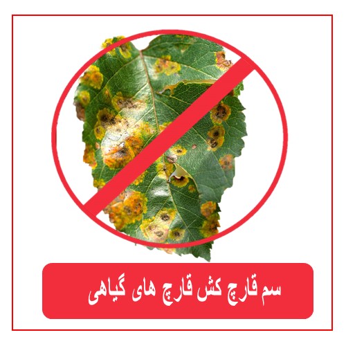 سم قارچ کش قارچ های گیاهی